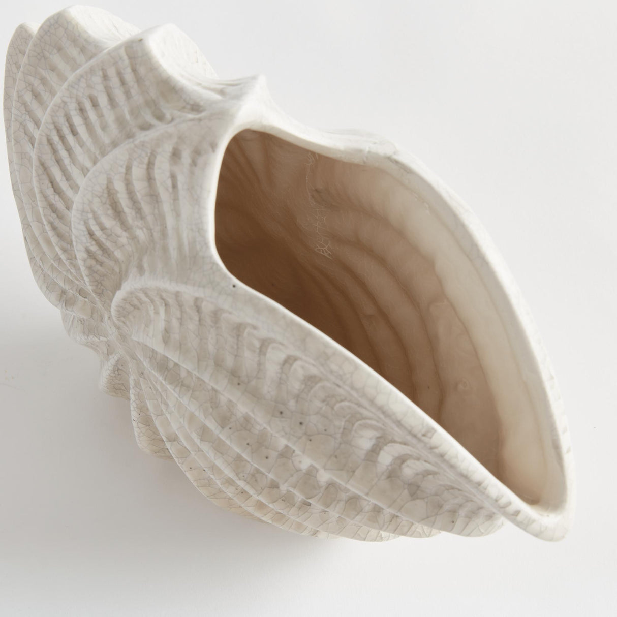 Napa Cream NAUTILUS SHELL VASE