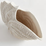 Napa Cream NAUTILUS SHELL VASE