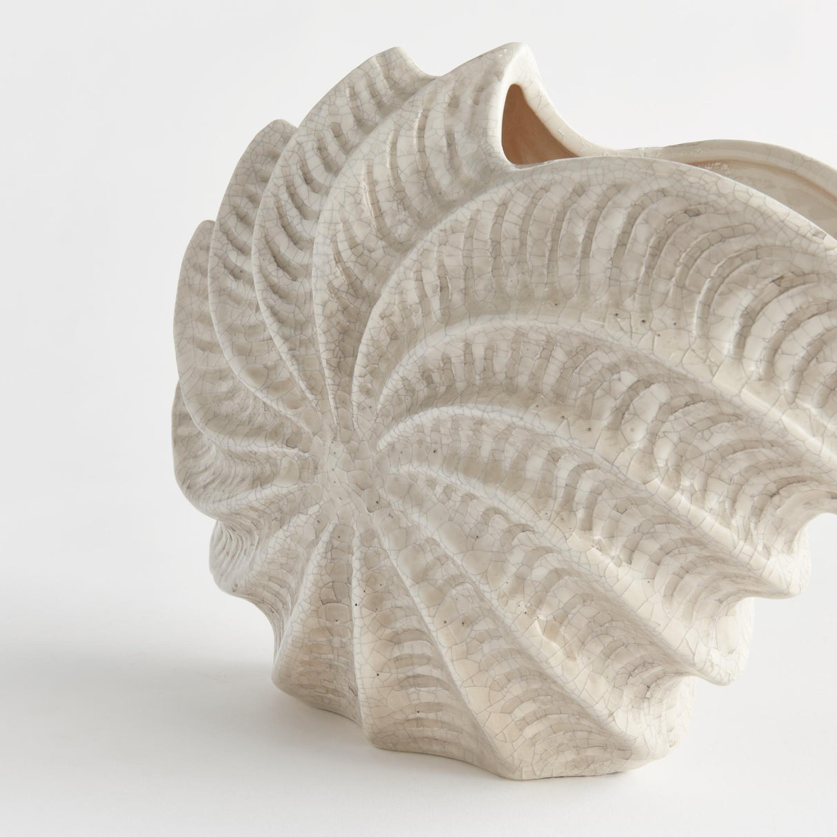 Napa Cream NAUTILUS SHELL VASE