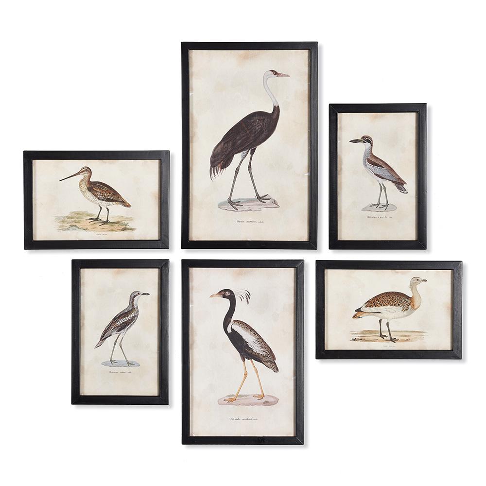 Napa Includes frames WATERFOWL GALLERY, SET OF 6