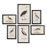 Napa Includes frames WATERFOWL GALLERY, SET OF 6