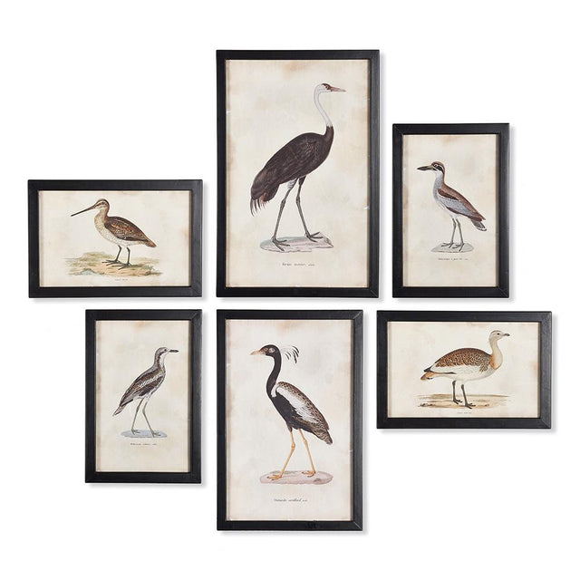 Napa Includes frames WATERFOWL GALLERY, SET OF 6