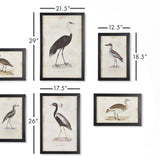 Napa Includes frames WATERFOWL GALLERY, SET OF 6