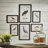 Napa Includes frames WATERFOWL GALLERY, SET OF 6