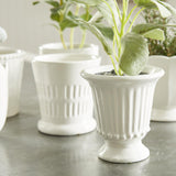 Napa Classic White MIRABELLE MINI CACHEPOTS, SET OF 6