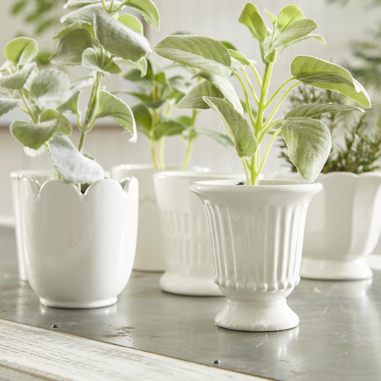 Napa Classic White MIRABELLE MINI CACHEPOTS, SET OF 6