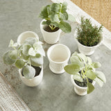 Napa Classic White MIRABELLE MINI CACHEPOTS, SET OF 6