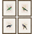 Paragon On Perch II S/4 Multi 13 X 11 X 1 Wall Art