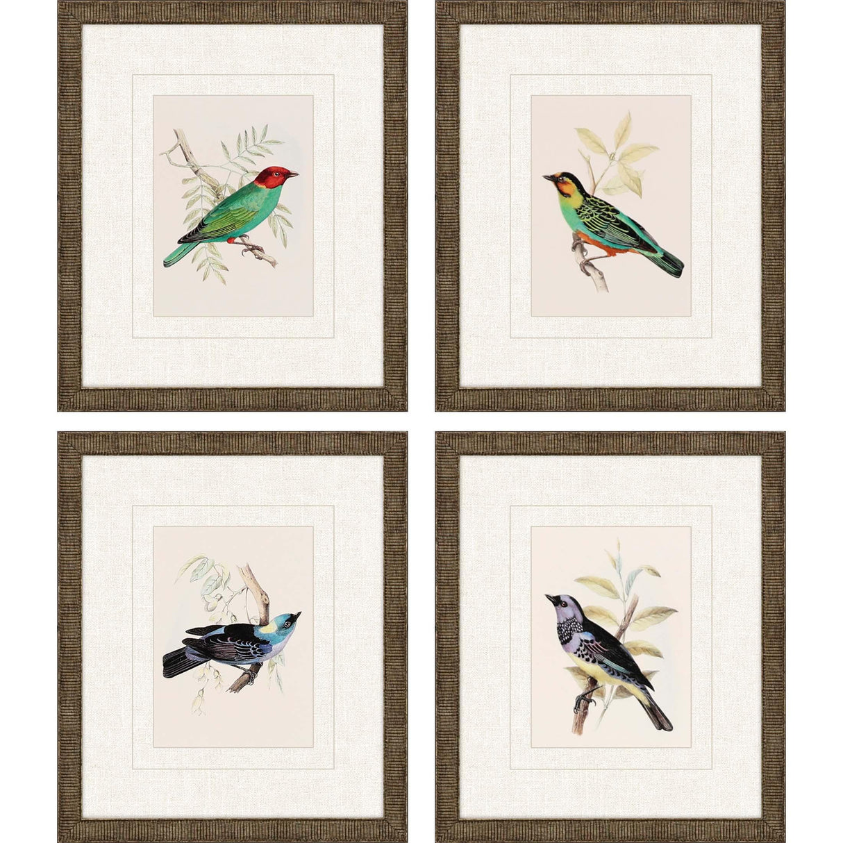 Paragon On Perch II S/4 Multi 13 X 11 X 1 Wall Art