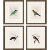 Paragon On Perch II S/4 Multi 13 X 11 X 1 Wall Art