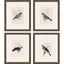 Paragon On Perch II S/4 Multi 13 X 11 X 1 Wall Art