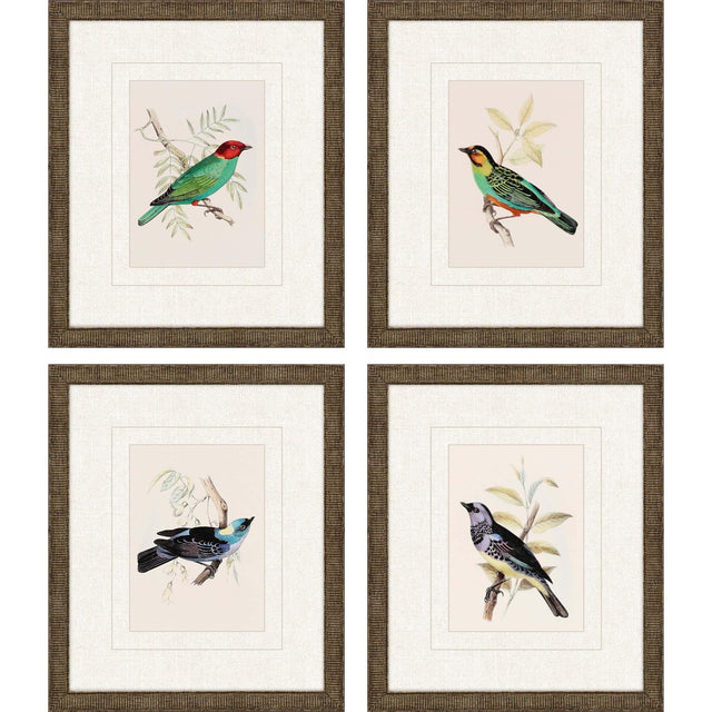 Paragon On Perch II S/4 Multi 13 X 11 X 1 Wall Art