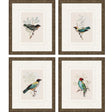 Paragon On Perch I S/4 Multi 13 X 11 X 1 Wall Art