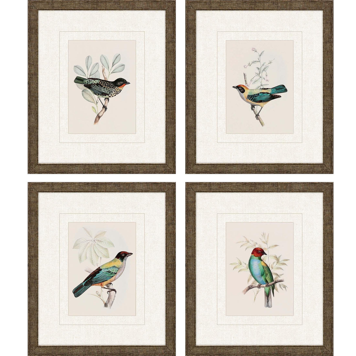 Paragon On Perch I S/4 Multi 13 X 11 X 1 Wall Art