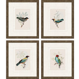 Paragon On Perch I S/4 Multi 13 X 11 X 1 Wall Art