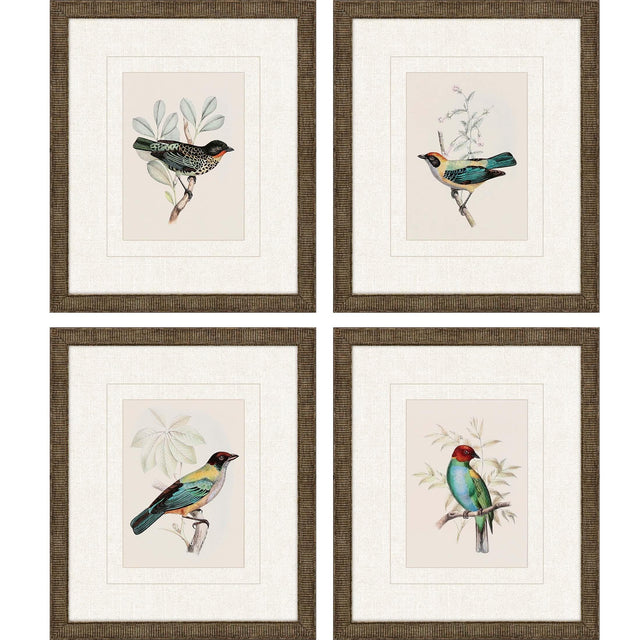 Paragon On Perch I S/4 Multi 13 X 11 X 1 Wall Art