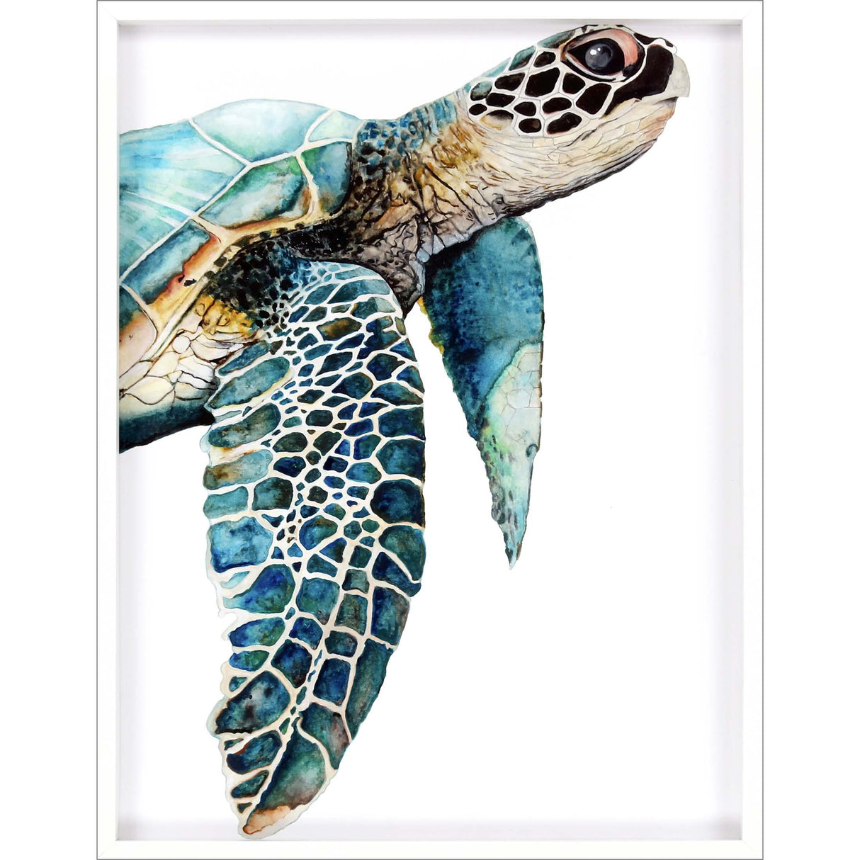 Paragon Great Sea Turtle Turquoise 50 X 38 X 3 Wall Art