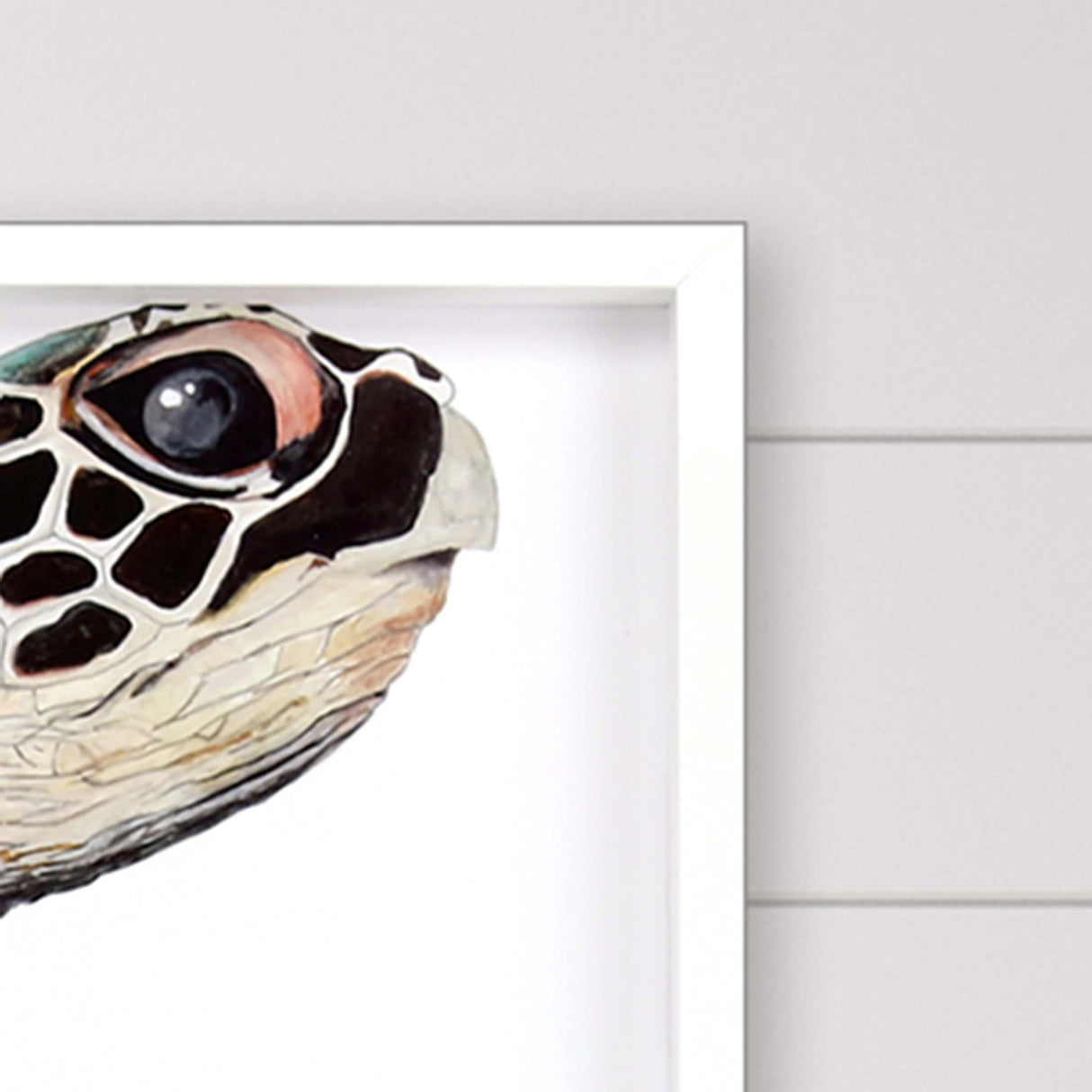 Paragon Great Sea Turtle Turquoise 50 X 38 X 3 Wall Art