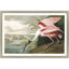 Paragon Roseate Spoonbill Multi 33 X 48 X 2 Wall Art