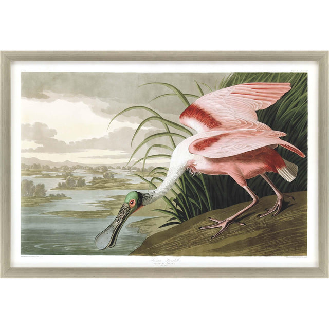 Paragon Roseate Spoonbill Multi 33 X 48 X 2 Wall Art
