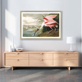 Paragon Roseate Spoonbill Multi 33 X 48 X 2 Wall Art