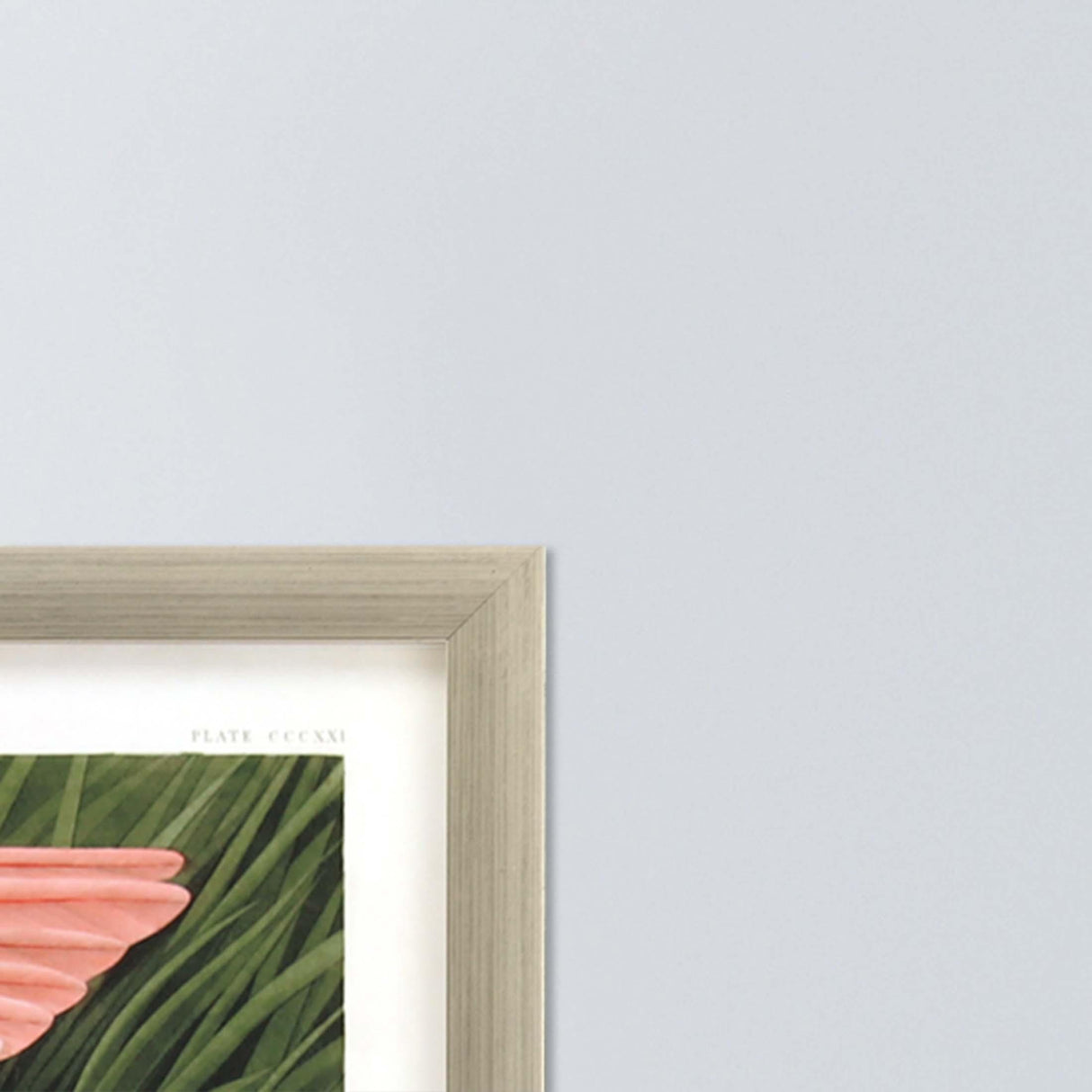 Paragon Roseate Spoonbill Multi 33 X 48 X 2 Wall Art