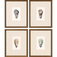 Paragon Ocean Blades S/4 Neutral 16 X 13 X 2 Wall Art