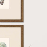 Paragon Ocean Blades S/4 Neutral 16 X 13 X 2 Wall Art