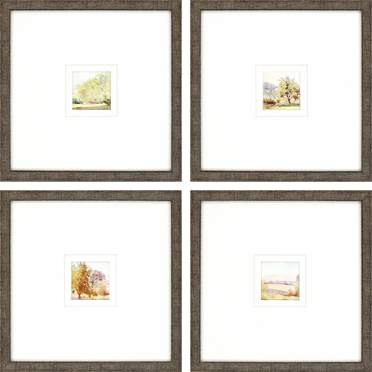 Paragon Petite Sunrise S/4 Multi 13 X 13 X 1 Wall Art