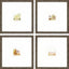 Paragon Petite Sunrise S/4 Multi 13 X 13 X 1 Wall Art