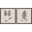 Paragon Modern Ferns I S/2 Neutral 26 X 26 X 2 Wall Art