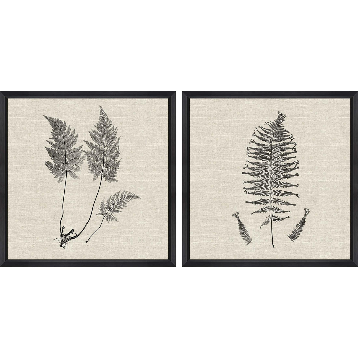 Paragon Modern Ferns I S/2 Neutral 26 X 26 X 2 Wall Art
