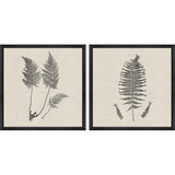 Paragon Modern Ferns I S/2 Neutral 26 X 26 X 2 Wall Art