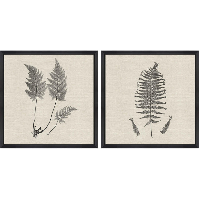 Paragon Modern Ferns I S/2 Neutral 26 X 26 X 2 Wall Art
