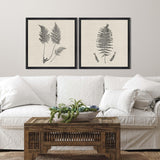 Paragon Modern Ferns I S/2 Neutral 26 X 26 X 2 Wall Art