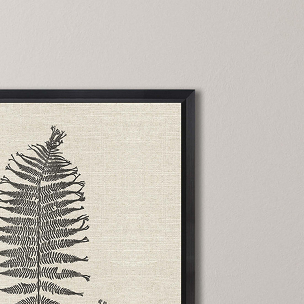 Paragon Modern Ferns I S/2 Neutral 26 X 26 X 2 Wall Art