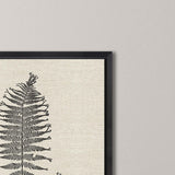 Paragon Modern Ferns I S/2 Neutral 26 X 26 X 2 Wall Art