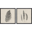 Paragon Modern Ferns II S/2 Neutral 26 X 26 X 2 Wall Art