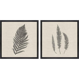 Paragon Modern Ferns II S/2 Neutral 26 X 26 X 2 Wall Art