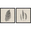 Paragon Modern Ferns II S/2 Neutral 26 X 26 X 2 Wall Art