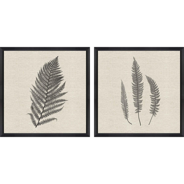 Paragon Modern Ferns II S/2 Neutral 26 X 26 X 2 Wall Art