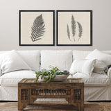 Paragon Modern Ferns II S/2 Neutral 26 X 26 X 2 Wall Art