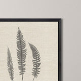 Paragon Modern Ferns II S/2 Neutral 26 X 26 X 2 Wall Art