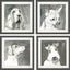 Paragon Modern Dog S/4 Neutral 21 X 21 X 2 Wall Art