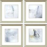 Paragon A Glimpse S/4 Gray 20 X 20 X 2 Wall Art