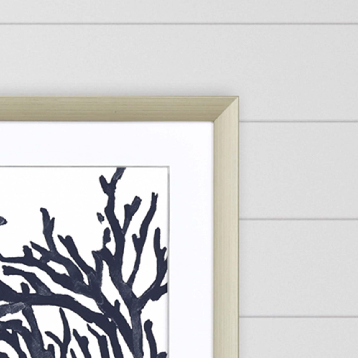 Paragon Blue Coral II S/2 Blue 32 X 32 X 2 Wall Art