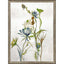 Paragon Late Summer Wildflower II Multi 43 X 33 X 2 Wall Art