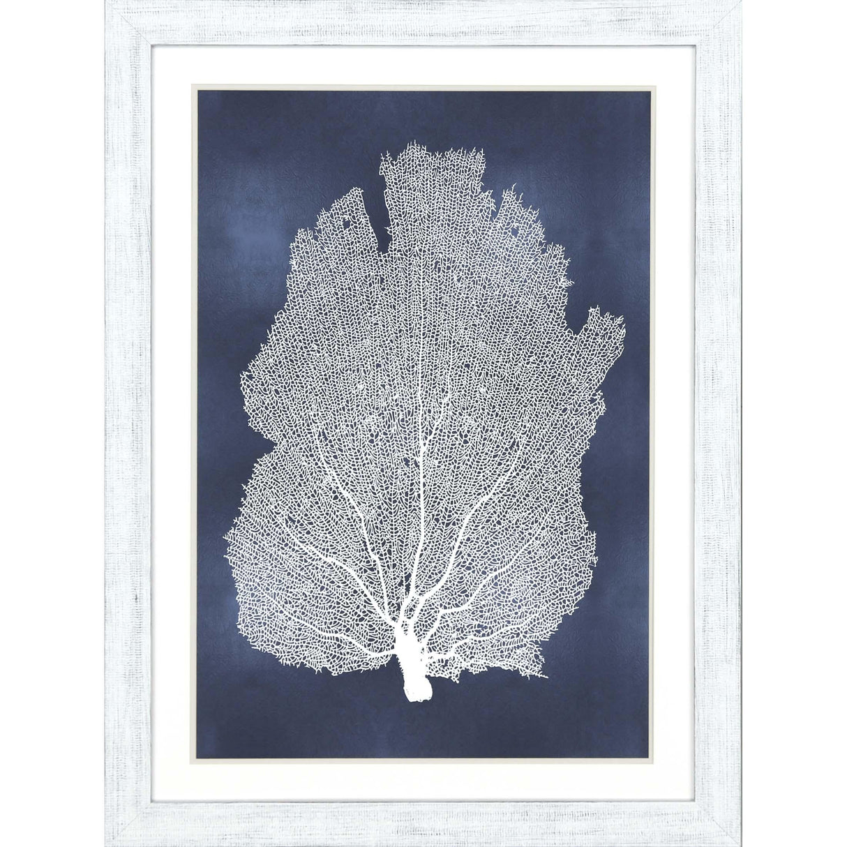 Paragon Sea Fan on Blue I Blue 45 X 33 X 1 Wall Art