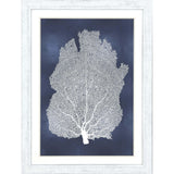 Paragon Sea Fan on Blue I Blue 45 X 33 X 1 Wall Art