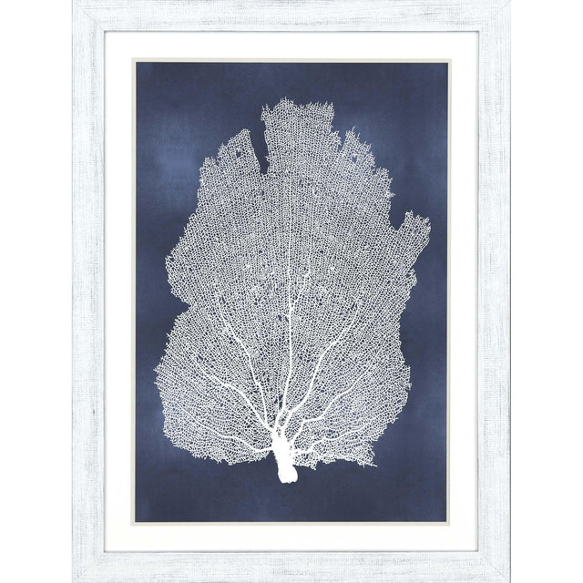 Paragon Sea Fan on Blue I Blue 45 X 33 X 1 Wall Art